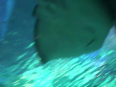 Leie, Blondine, Brille, Pov, Muschi, Dürr, Schlafend, Tätowierung