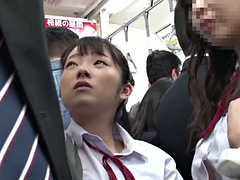 Nhdtb-290 1