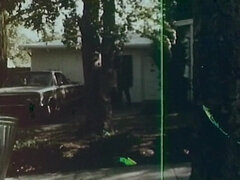 Большие сиськи, Блондинки, Минет, Классика, Семяизвержение, Группа, Сиськи, Винтаж