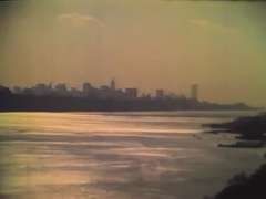 女, 毛深い, ポルノスター, ヴィンテージ