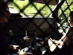 Lieveling, Kinderoppas, Bondage discipline sadomasochisme, Pijpbeurt, Tiener