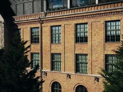 Nana, Gros seins, Sucer une bite, Brunette brune, Plantureuse, Partouze, Orgie, Jarretelles