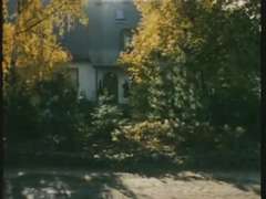 Deutsch, Gruppe, Behaart, Vintage