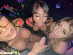 Mamada, Club, Público, Solo