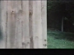 Hard, Orgie, Rétro ancien