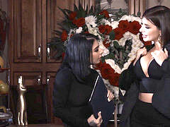 Анальный секс, Жопа, Черные, Минет, Грудастые, Эмо, Киски, Тату