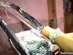 緊縛, 美人, ボンデージ, フェティッシュ, 剃毛, 息子, オッパイの, おもちゃ