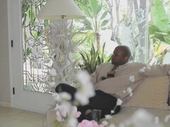 美女, 黒人, 茶髪の, 中出し, 人形, 手コキする, ティーン, オッパイの