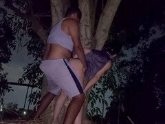 ブラジル, 公共