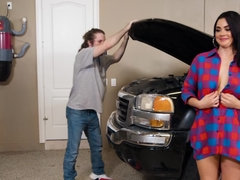 Enthousiasteling, Pijpbeurt, Bruinharig, Hondjeshouding