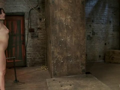 お尻, 緊縛, 惨い, 服従, 指いじり, お仕置き, オマンコ, 拘束