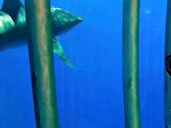 Tussi, Grosse titten, Nackt, Realität, Sport