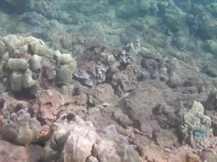 Enthousiasteling, Badpak, Vingeren, Orgasme, Openbaar, Kut duiken, Roken, Nat