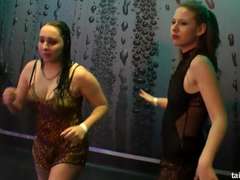 Tussi, Gruppe, Öffentlich