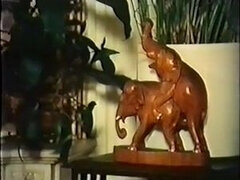 フランス人, ドイツ人, オージー, ヴィンテージ