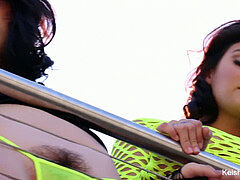 Anaal, Bruinharig, Trio