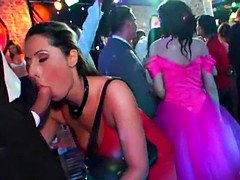 Grosse bite, Mariée, Groupe, Orgie, Fête, Actrice du porno, Public, Suçant