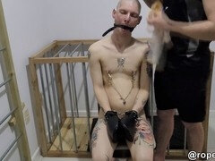 Bondage discipline sadomasochisme, Homo, Geschoren, Slaaf, Tatoeage