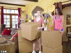 18 летние, Брюнетки, Семья, Хд, Лизание, Зрелые, Киски, Тощие