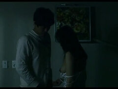 Korean Erotica: Dongchim Car Fuck (2013)