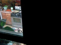 JUST MISSED THEM FUCKING!!!