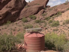 Béant, Petite amie, Poilue, Pov, Chatte, Maigrichonne, Nénés, Sous la jupe