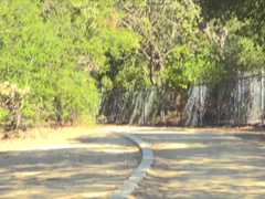 ズームショット, フェティッシュ, フィストファック, 目瞪口呆, マッサージ, 一人, おもらし, おもちゃ