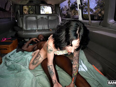Cul, Brunette brune, Bus, Voiture, Interracial, De plein air, Chatte, Nénés