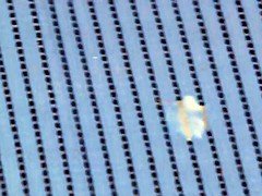 Минет, Семяизвержение, Европейки, Бритые, Втроем