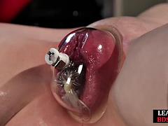 Stunning horny bae pussytoyed by master