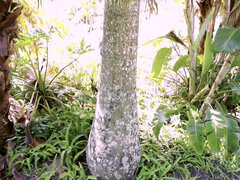 Sweet babe Kyler Quinn enjoys BBC