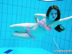 Bruinharig, Fetisj, Hd, Nudist, Biljart, Softcore pornografie, Tiener, Onderwater