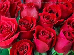 Aus dem arsch in den mund, Tante, Grosser arsch, Reif, Milf, Mutti, Natürlichen titten, Stiefmutter