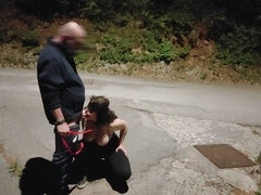 Sadomasochismus, Domination, Toilette, Zug, Hure