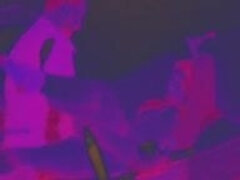 Leie, Selbstgemacht, Netzkamera