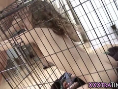 緊縛, フェラチオ, イく瞬間, 顔射, Hd, 小柄, 叫ぶ, オッパイの