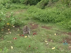Bikini, Rubia, Abierta, Piscina, Pov, Coño, Afeitado, Estriptis