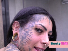 Anal, Ass, Beauty, Big tits, Chubby, Dick, Erotic, Hardcore