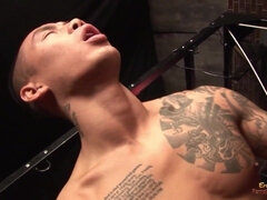 Schwarz, Blondine, Aufs gesicht abspritzen, Lecken, Milf, Muschi, Rau, Nass