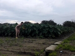 【6 Scene】Japanese boy peeing in public.