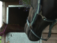 Huge boobed BBW getting rough sex in the morning - Big ass