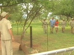 Kruger Park (1996)