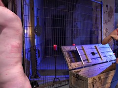 Arsch, Sadomasochismus, Fesselspiele, Weibliche domination, Hardcore, Latex, Lingerie, Hintern versohlen