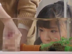 Aziatisch, Bruinharig, Groep, Hd, Klein, Tiener