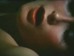 Amerikaans, Harig, Oud