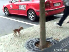 Incroyable, Tchèque, Hard, Pov, Réalité, Criant, Adolescente, Nénés