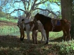 Sexo duro, Orgía, Clasico