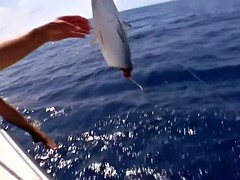 Babes snowboarding and frisky fishing