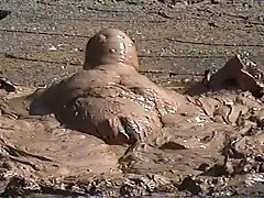 Ass Waves in Mud