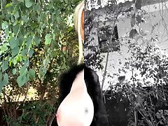 デカ尻, デカチン, デカパイ, コンピレーション, フェティッシュ, 淫乱熟女, ハメ撮り, 叫ぶ